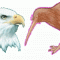 Eagle_Kiwi's Avatar