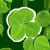 Click to Play: 4 Leaf Clover